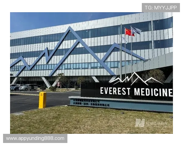 云顶公司名称大全解析成功企业命名背后的策略与创意灵感推荐