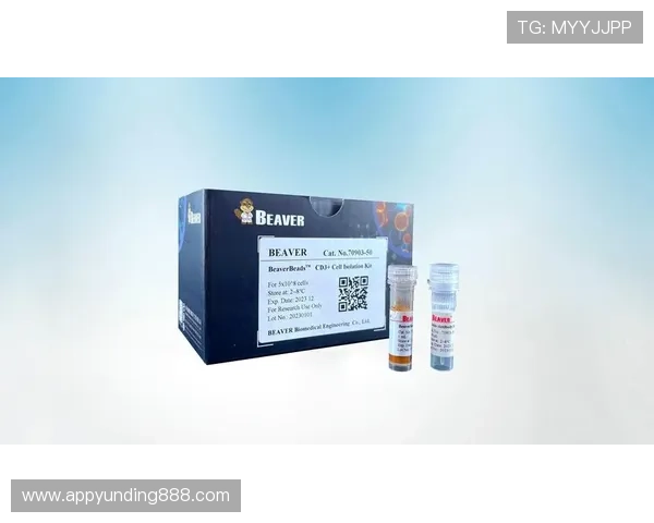 4008云顶集团品牌官网的安全保障措施与数据保护策略详解