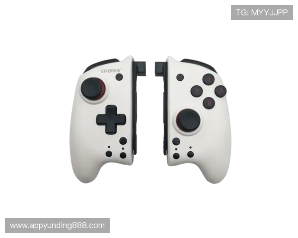 云顶国际首页最新游戏资讯全面解析助你轻松掌握游戏动态与玩法技巧 云顶国际首页最新游戏资讯全面解析助你轻松掌握游戏动态与玩法技巧