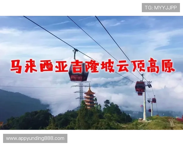 揭秘马来西亚云顶的家族血统关系及其背后复杂的家族网络