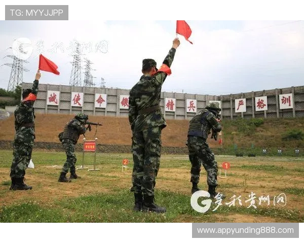龙虎大战：提升战斗技巧的实用训练方法与实战经验分享